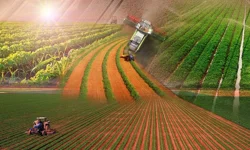 Türkiye'de tarımın en yoğun olduğu iller açıklandı!