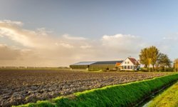 Antalya Serik’te 4.710 m² Tarla ve Tek Katlı Binalar İcradan Satışa Çıkıyor