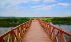 Tokat'ı İlk Kim Fethetmiştir?