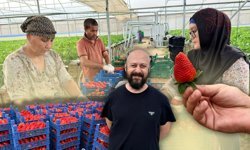 Almanya’da öğrendi Antalya'da uyguladı! Hedef 100 ton