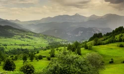 Trabzon'un En Pahalı İlçesi Hangisi?