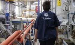 Türkiye Şeker Fabrikaları işçi alımı yapacak! Başvuru şartları belli oldı