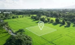 Arsa yatırımcılarının dikkatine! En çok kazandıran iller belli oldu