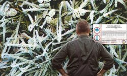 Antalya’da zirai don uyarısı yapıldı!