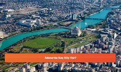 Adana'da Kaç Köy Var?