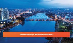 Adanalıların Soyu Nereden Gelmektedir?
