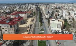 Adıyaman'da Kürt Nüfusu Ne Kadar?