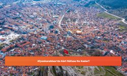 Afyonkarahisar'da Kürt Nüfusu Ne Kadar?