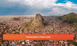 Afyonkarahisar'ın Plakası Nedir?