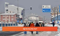 Ağrı'da Kaç Köy Var?