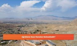 Ağrılıların Soyu Nereden Gelmektedir?