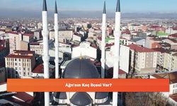 Ağrı'nın Kaç İlçesi Var?