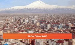 Ağrı'nın Plakası Nedir?