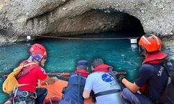 Antalya’da Akdeniz foklarının yeni yaşam alanı koruma altına alındı!