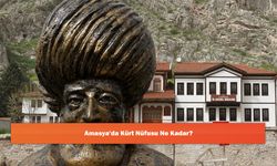 Amasya'da Kürt Nüfusu Ne Kadar?