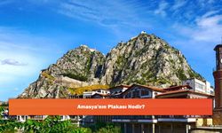 Amasya'nın Plakası Nedir?