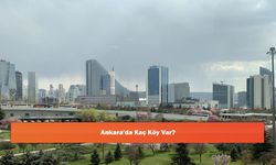 Ankara'da Kaç Köy Var?