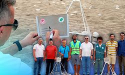 Antalya Çıralı Sahili’nde sezonun ilk caretta caretta yuvaları tespit edildi!