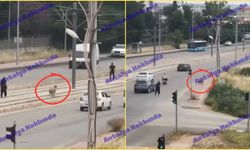 Antalya’da kaçan koyun caddeyi birbirine kattı