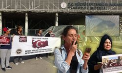 Antalya'da hayvanseverler ayakta! "Tel ağ sistemi güvercinlerin ölümüne neden oluyor"
