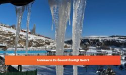 Ardahan'ın En Önemli Özelliği Nedir?