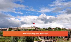 Ardahan'ın Kaç Tane İlçesi Var?