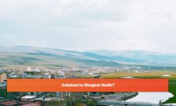 Ardahan'ın Simgesi Nedir?