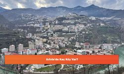 Artvin'de Kaç Köy Var?