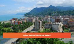 Artvin'de Kürt Nüfusu Ne Kadar?