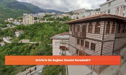 Artvin'in En Sağlam Zemini Nerededir?