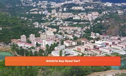 Artvin'in Kaç İlçesi Var?
