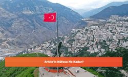 Artvin'in Nüfusu Ne Kadar?