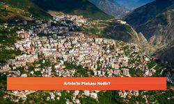 Artvin'in Plakası Nedir?
