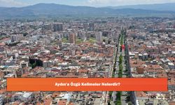 Aydın'a Özgü Kelimeler Nelerdir?