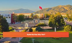 Aydın'da Kaç Köy Var?
