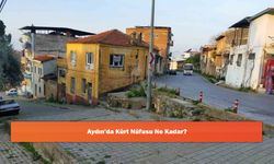 Aydın'da Kürt Nüfusu Ne Kadar?