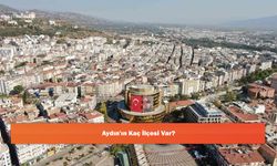 Aydın'ın Kaç İlçesi Var?