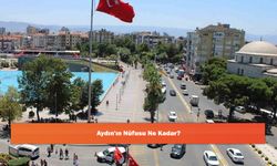 Aydın'ın Nüfusu Ne Kadar?