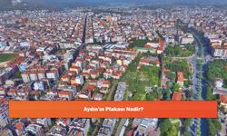 Aydın'ın Plakası Nedir?