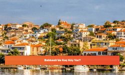 Balıkesir'de Kaç Köy Var?