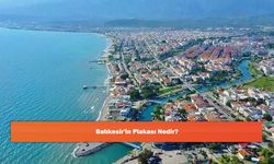 Balıkesir'in Plakası Nedir?