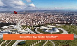 Balıkesirlilerin Soyu Nereden Gelmektedir?