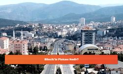 Bilecik'in Plakası Nedir?