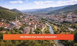 Bileciklilerin Soyu Nereden Gelmektedir?