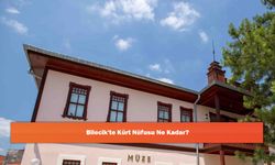 Bilecik'te Kürt Nüfusu Ne Kadar?