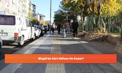 Bingöl'de Kürt Nüfusu Ne Kadar?