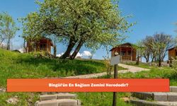 Bingöl'ün En Sağlam Zemini Nerededir?