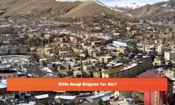 Bitlis Hangi Bölgede Yer Alır?