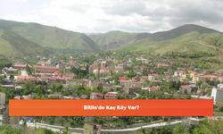 Bitlis'de Kaç Köy Var?
