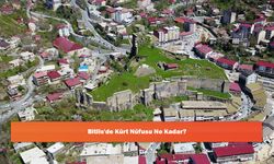 Bitlis'de Kürt Nüfusu Ne Kadar?